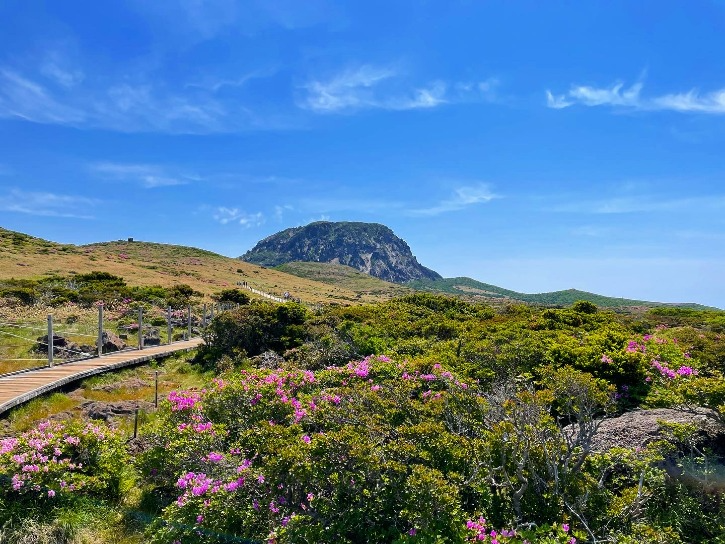 10. 제주보안 강미희_철쭉 핀 한라산(제주 한라산).JPG